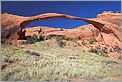 Landscape Arch - Arches National Park (CANON 5D + EF 24mm L)