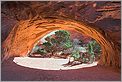 Navajo Arch en HDR - Arches National Park (CANON 5D + EF 24mm L)