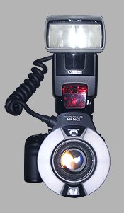 Eclairage macrophotographique avec les flashs MR-14EX + 550EX montés sur un CANON 5D