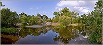 Mare en foêt de Fontainebleau (CANON 20D + EF 17-40 L)