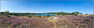 Lac de Vésoles (34 Hérault) et champ de bruyère en panoramique (CANON 5D MkII + TS-E 17mm F4 L)