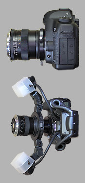 Macrophoto avec un objectif monté en inversé pour obtenir de fort rapport de grandissement : Infos techniques + essai photo : CARL ZEISS Distagon T* 28mm F2,8 monté sur Canon 5D MkII