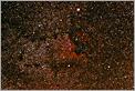 Nébuleuse North América - NGC 7000 (CANON 10D + EF100mm)