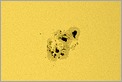 Groupes de taches à la surface du Soleil (CANON 10D + TAKAHASHI TSC 225)