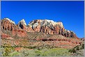 Zion National Park - Utah USA (CANON 5D +EF 100 macro)